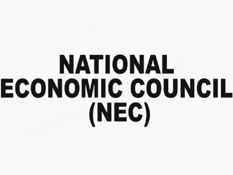 NEC Approves 90-Day Action Plan To Ease Cost of Living For Nigerians – THISDAYLIVE