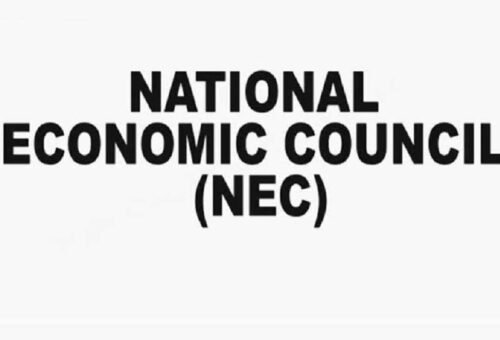 NEC Approves 90-day Plan to Ease Cost of Living – THISDAYLIVE