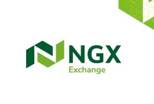 NGX Group’s Push for Local Tech Listings Gains Attention Amid OPay IPO Plans – THISDAYLIVE