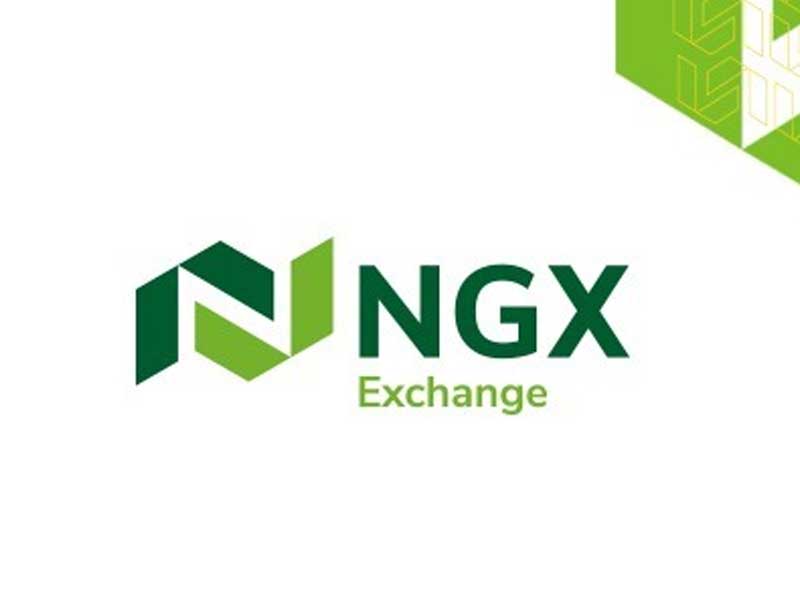 NGX Group’s Push for Local Tech Listings Gains Attention Amid OPay IPO Plans – THISDAYLIVE