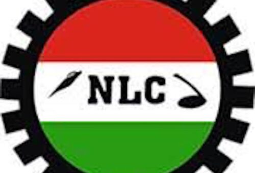 NLC Pickets Abuja Construction Firm Over Alleged Anti-labour Practices – THISDAYLIVE