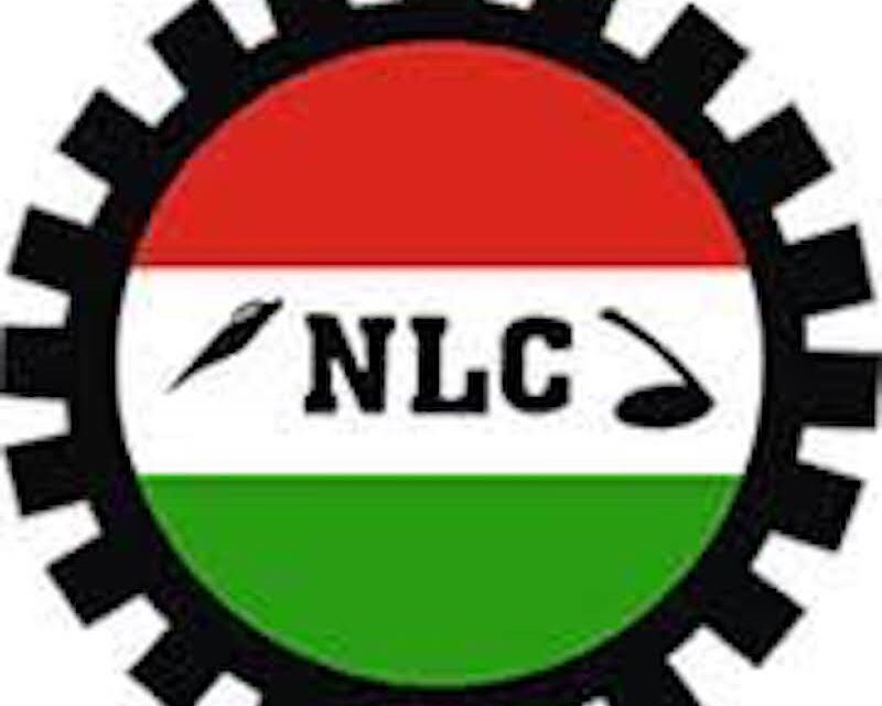 NLC Pickets Abuja Construction Firm Over Alleged Anti-labour Practices – THISDAYLIVE