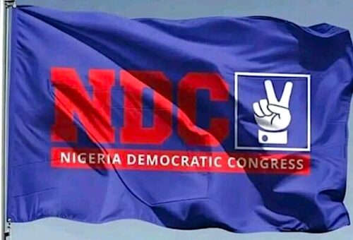 NDC says 80% of its candidates couldn’t afford nomination forms, blames APC