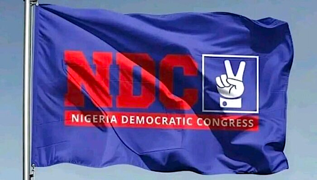 NDC says 80% of its candidates couldn’t afford nomination forms, blames APC