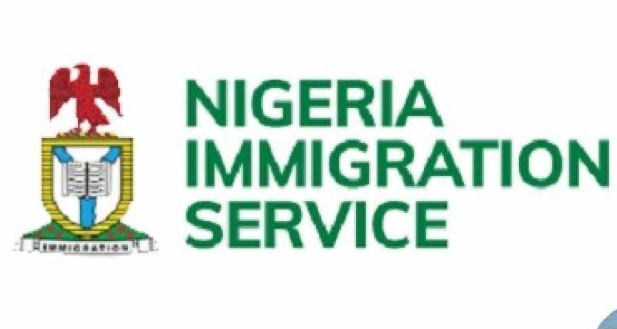 NIS confirms death of officer after gunmen attack in Niger