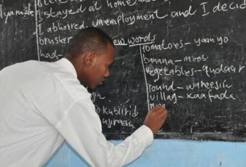 FCT teachers suspend strike – Daily Trust