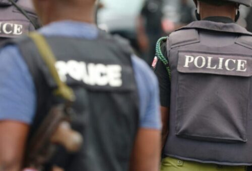Police arrest two suspected Sara-Suka thugs in Bauchi