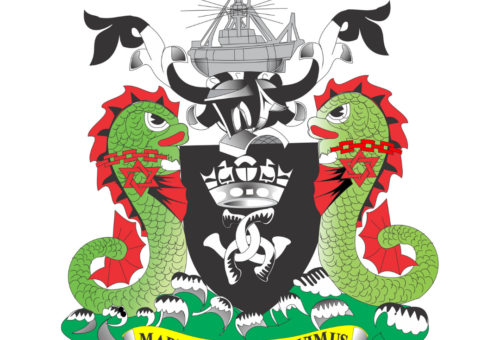 NPA moves to resolve rail, infrastructure challenges at dry ports – Daily Trust