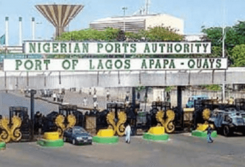 NPA Moves to Fix Rail, Logistics Gap At Inland Dry Ports – THISDAYLIVE