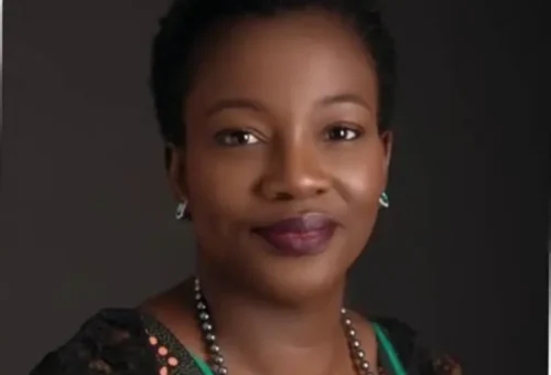 Olaniwun Ajayi LP appoints former FATE Foundation CEO Adenike Adeyemi as new Chief Executive
