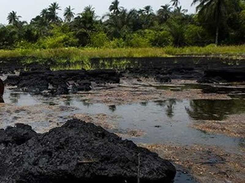 Disability Group Demands Fair Share of NNPC Jobs – THISDAYLIVE