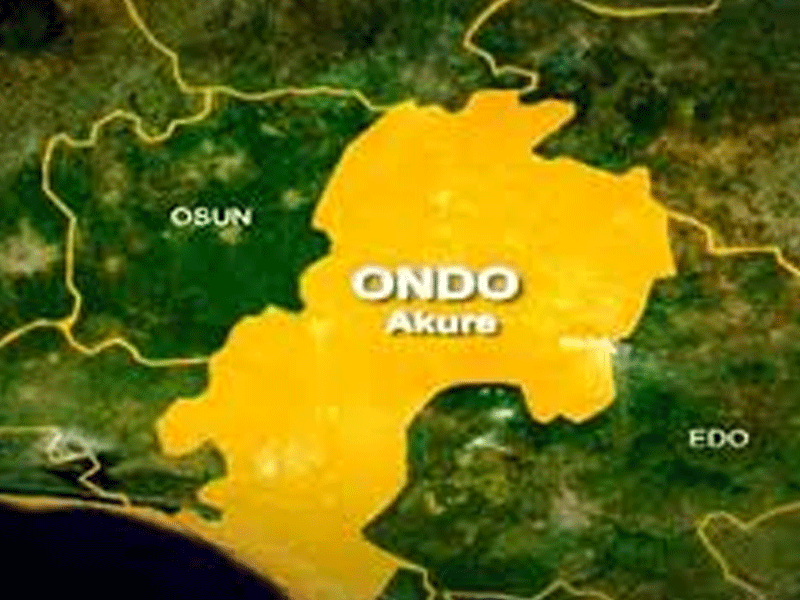 Ondo APC Presidential Campaign Council Inaugurates Eight Media Subcommittees – THISDAYLIVE