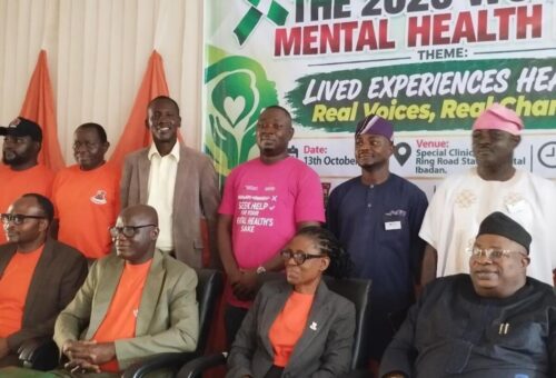 Oyo to audit mental health services in 33 LGAs, expand primary care