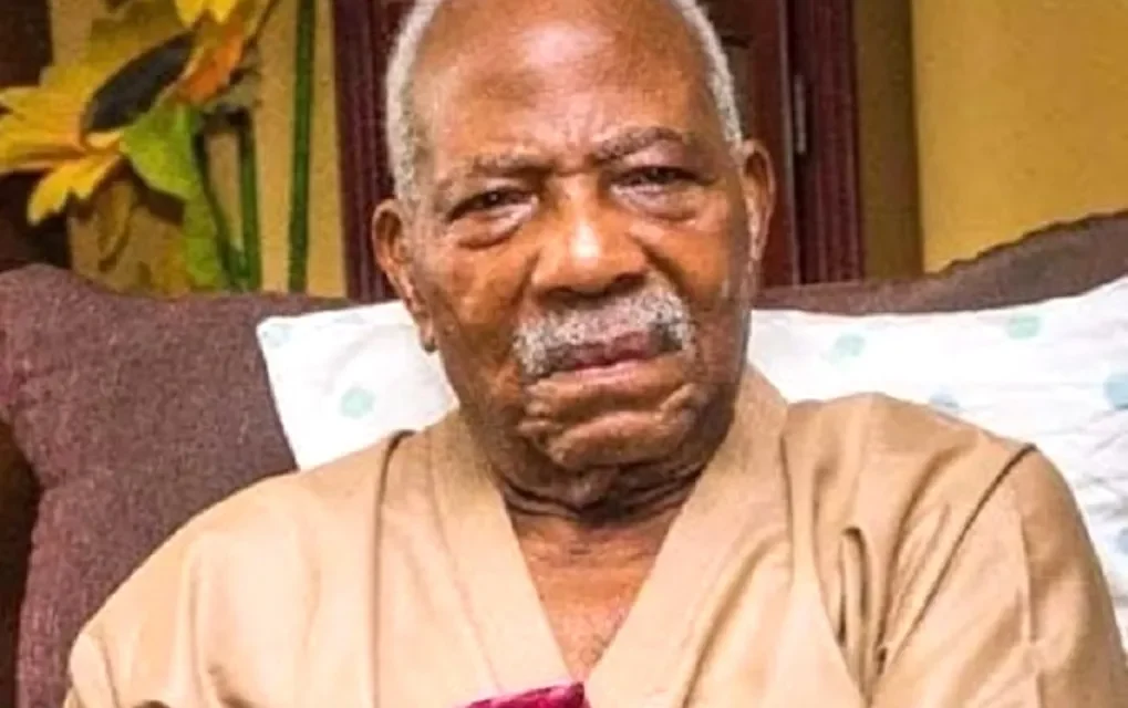 Tinubu, Awolowo’s Family Mourn as Afenifere Leader, Pa Fasoranti, Dies at 100 – THISDAYLIVE