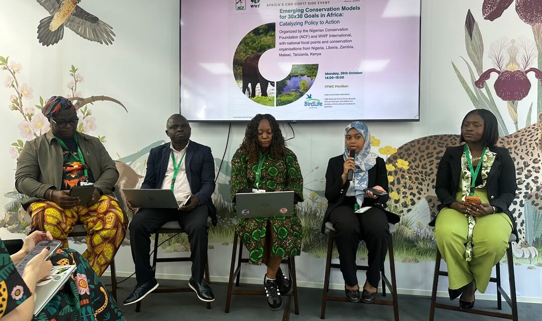 Experts explore new conservation models to advance Africa’s 30×30 goals
