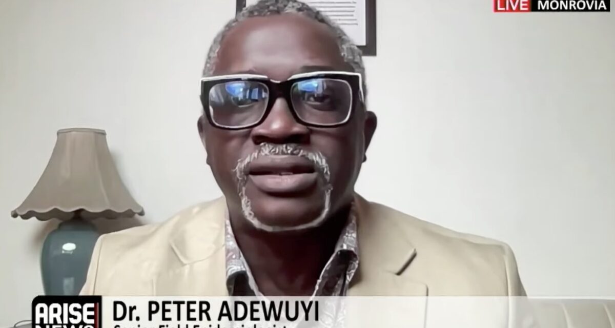 Nigeria Has 500 Epidemiologists, Government Should Let Them Lead Ebola Response Efforts – Arise News