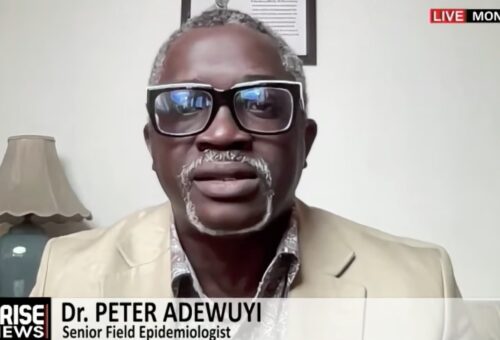 Nigeria Has 500 Epidemiologists, Government Should Let Them Lead Ebola Response Efforts – Arise News