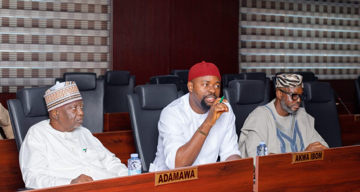 Peter Eze-Led Committee, FAAN Pledge Stronger Collaboration – THISDAYLIVE