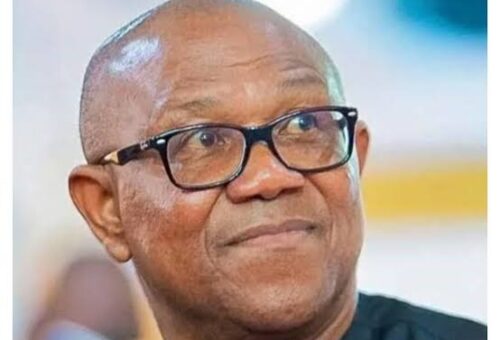 Fuel Subsidy Removal, Naira Floating, Tax Reforms Reasons for Nation’s Hardship – THISDAYLIVE