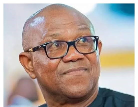 Fuel Subsidy Removal, Naira Floating, Tax Reforms Reasons for Nation’s Hardship – THISDAYLIVE