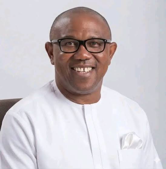 Citizens Must Stop Depending Solely on Government, Help Themselves – THISDAYLIVE