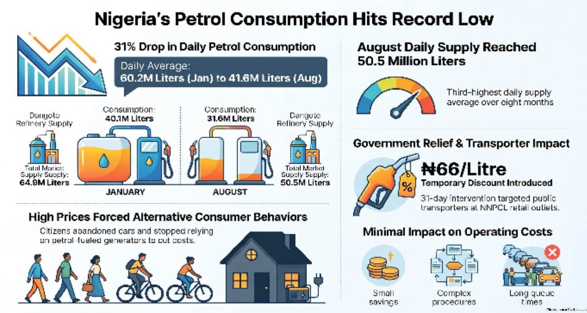 Petrol consumption hits record low amid rising prices – Daily Trust