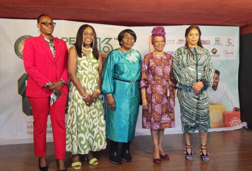 APEN Plans Homegrown AI Model for Nigerian Classrooms – THISDAYLIVE