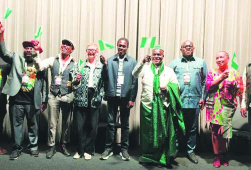 Germany-Nigeria Film Week Returns in October 2027 with Expanded Programme, Global Partnerships – THISDAYLIVE