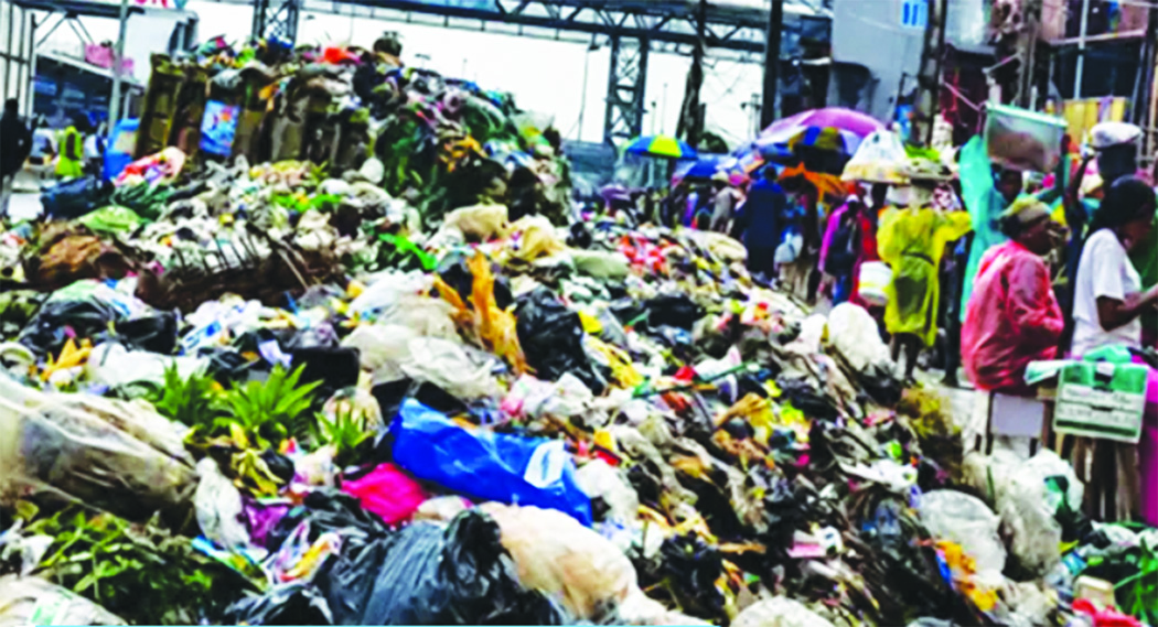 A Megacity Drowning in Refuse – THISDAYLIVE