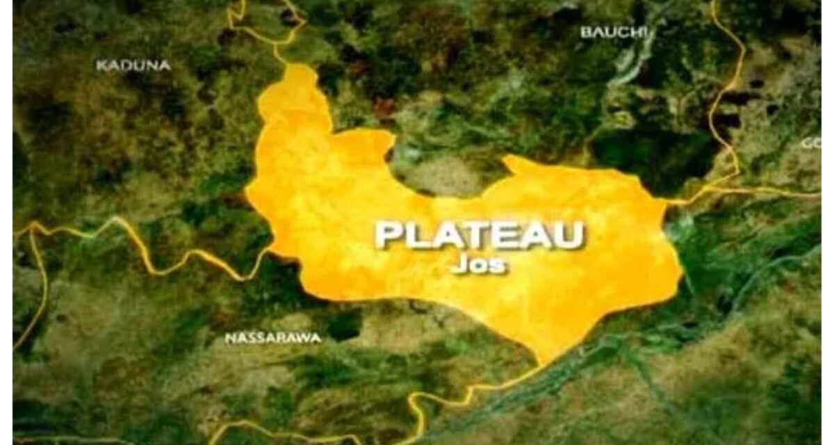 Suspected militia kill four cows in Plateau