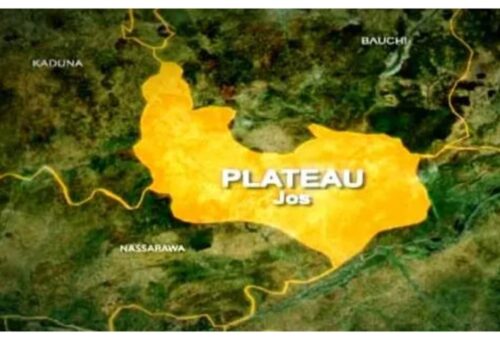 Suspected militia kill four cows in Plateau