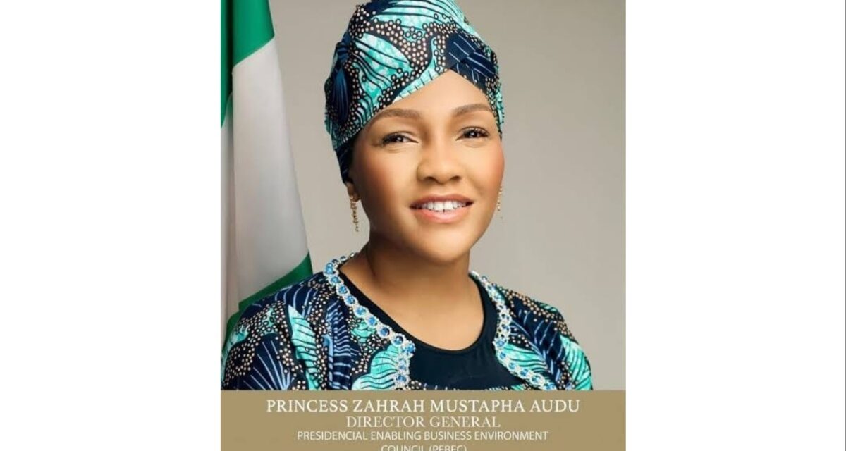 Benue Gov Alia celebrates PEBEC DG Princess Zarah Audu on birthday