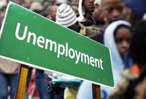 FG, GIZ push skills-to-jobs link to tackle youth unemployment – Daily Trust