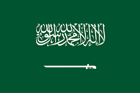 Saudi Arabia Launches Cardiac Care Campaign in Nigeria, Targets 108 Procedures – THISDAYLIVE