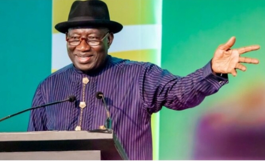 Nigeria Must Be Bigger Than Any Political Party, Individual — Jonathan Tells Ex-Deputy Governors