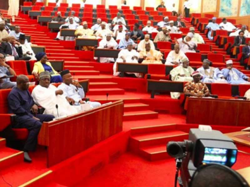 Senate Probes University Governing Councils, Seeks NUC Reform – THISDAYLIVE