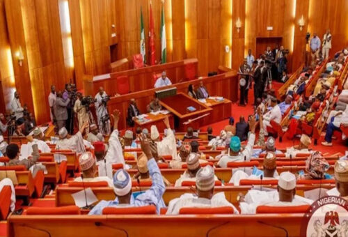 Senate seeks troops’ deployment as gunmen kill 113 persons in Benue