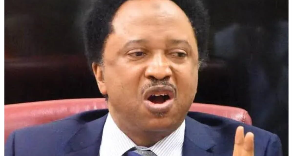 ‘Political strategy’ – Shehu Sani reacts to viral video of kidnapped Kaduna family