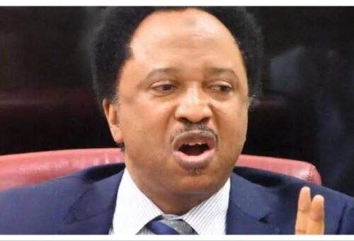 ‘Political strategy’ – Shehu Sani reacts to viral video of kidnapped Kaduna family