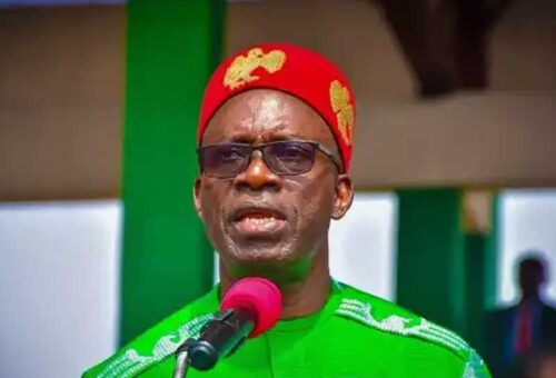 Supporting Tinubu’s Re-election Could Pave the Way for Igbo Presidency in Future – THISDAYLIVE