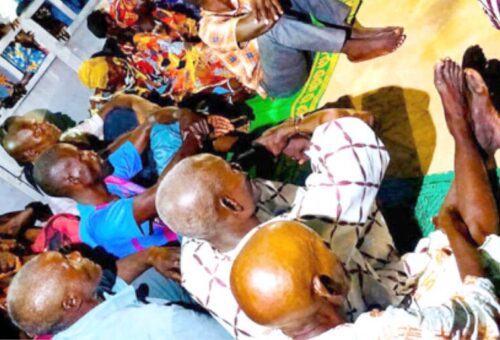 Borno parents shelve Abuja protest over logistics – Daily Trust