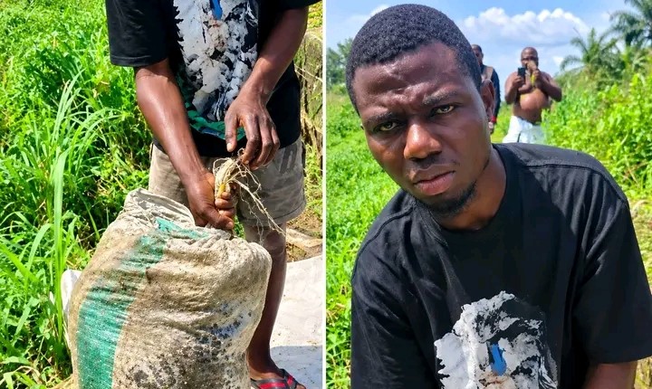 Police arrest man who murdered ex-girlfriend, hid body in sack