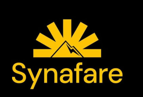 Firm Empowers 100 SMEs to Boost Solar Infrastructure  – THISDAYLIVE