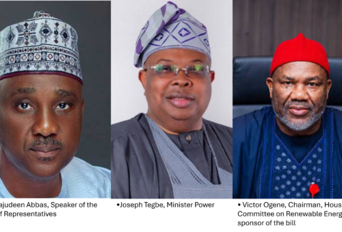 Redefining Electricity Access, Investment and Sustainable Development – THISDAYLIVE