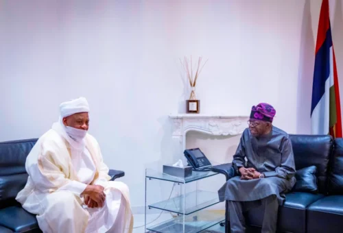 Sultan meets Tinubu, calls for peaceful campaigns – Daily Trust