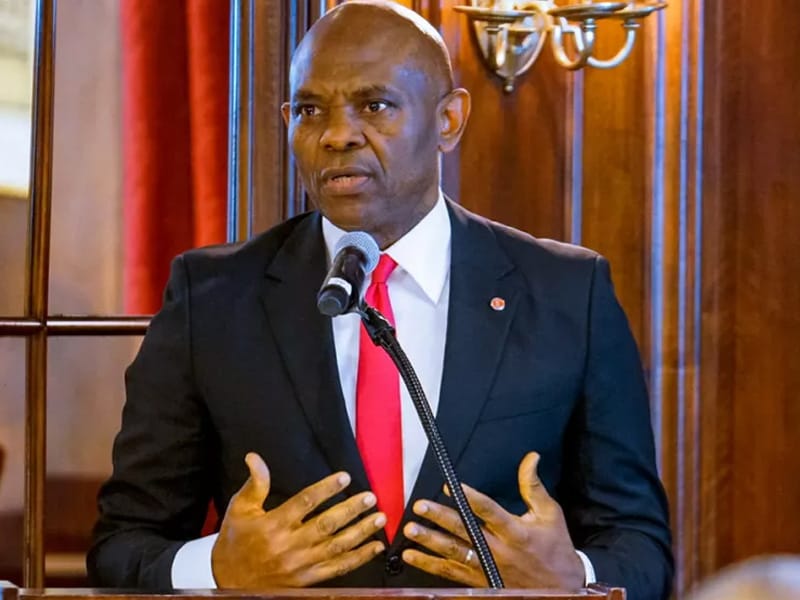 Elumelu Backs bn Infrastructure Investment Drive Across West Africa – THISDAYLIVE
