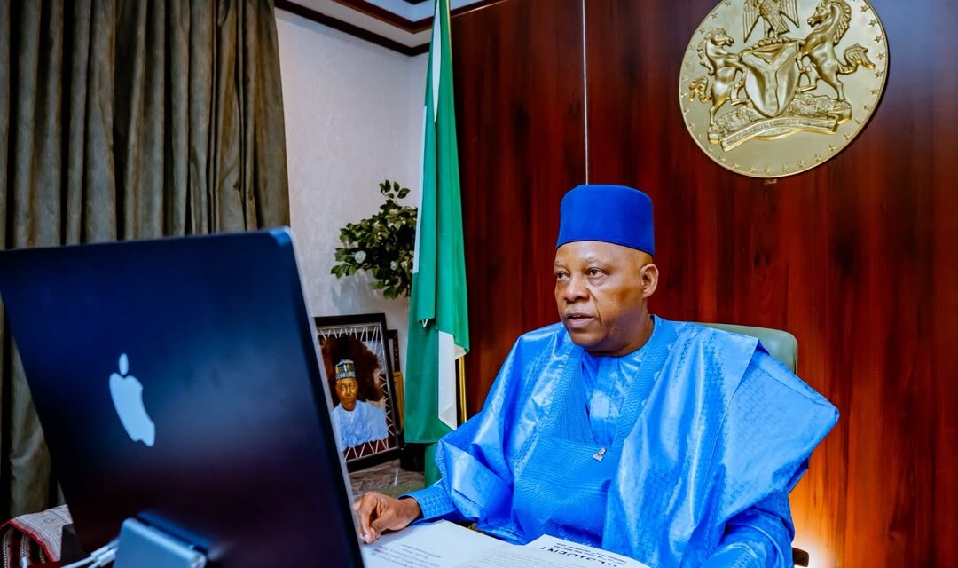 NEC approves 90-day plan to cut food costs, ease Nigeria’s cost-of-living crisis