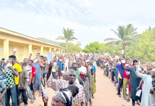 INEC and neutrality test – Daily Trust