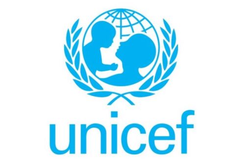 UNDP, UNICEF launch campaign to promote green careers among young people