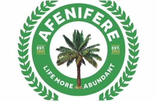 Afenifere sounds alarm over rising political intolerance – Daily Trust